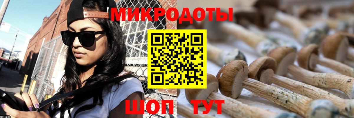 Псилоцибиновые грибы мицелий  Псилоцибиновые грибы GOLDEN TEACHER  Вход с VPN  Ессентуки 